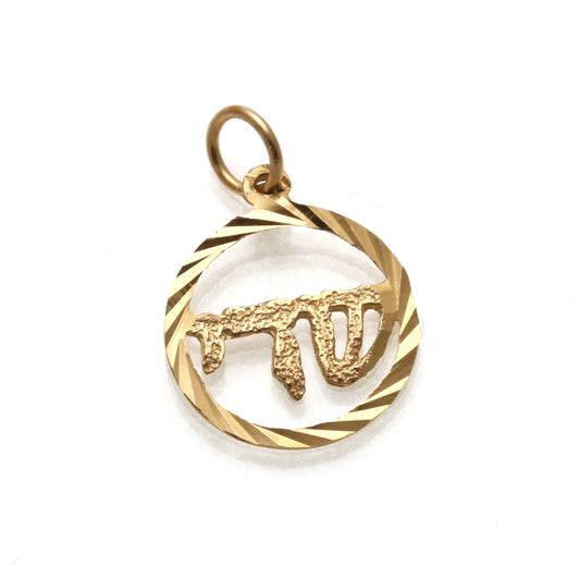 14k Yellow gold Encircled Shadai Pendant Small